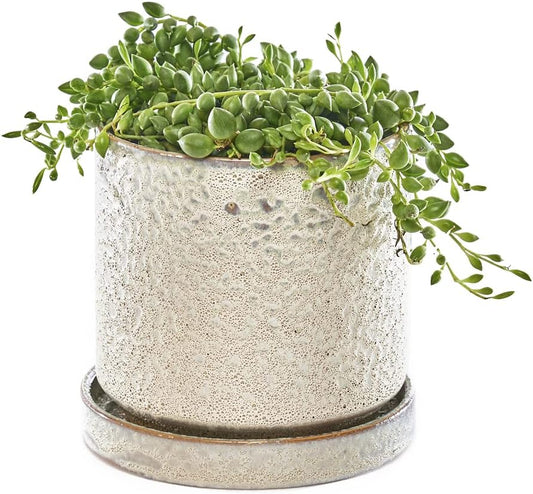 CHIVE ‘Minute’ Ceramic Planter Pot — Cute 5” Colorful Succulent Pots for Indoor & Outdoor House Plants — Beautiful Modern Farmhouse Kitchen Decor — Ivory Speckle