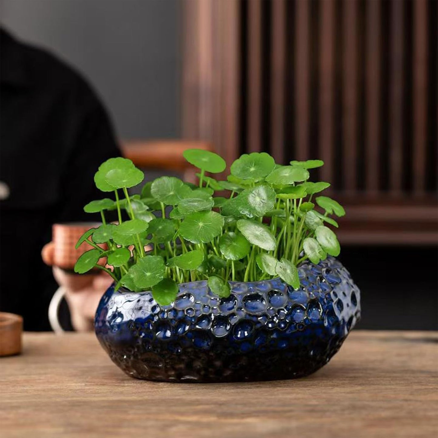 Lotus Bowl Planter, Lotus Bowls for Planting in Water Indoors, Ceramic Planters for Indoor Plants, Thickened Round Planter, for Succulent Plants Leak-Proof Design (Blue Planet)