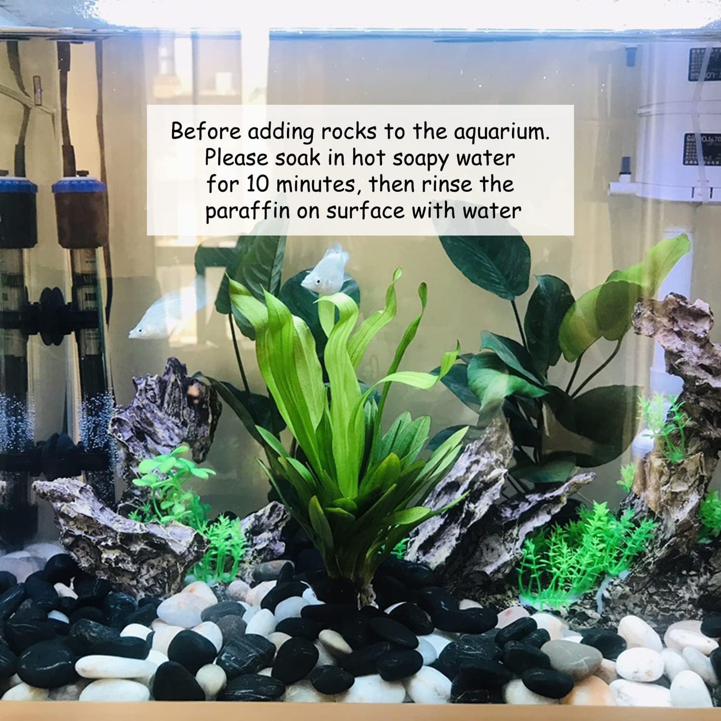 5 lbs Black River Rocks for Plants, 2-3 inch Large Pebbles for Plants Indoor. Decorative Stones for Planters Vase Fillers Aquarium Fish Tank and Outdoor Garden Landscaping