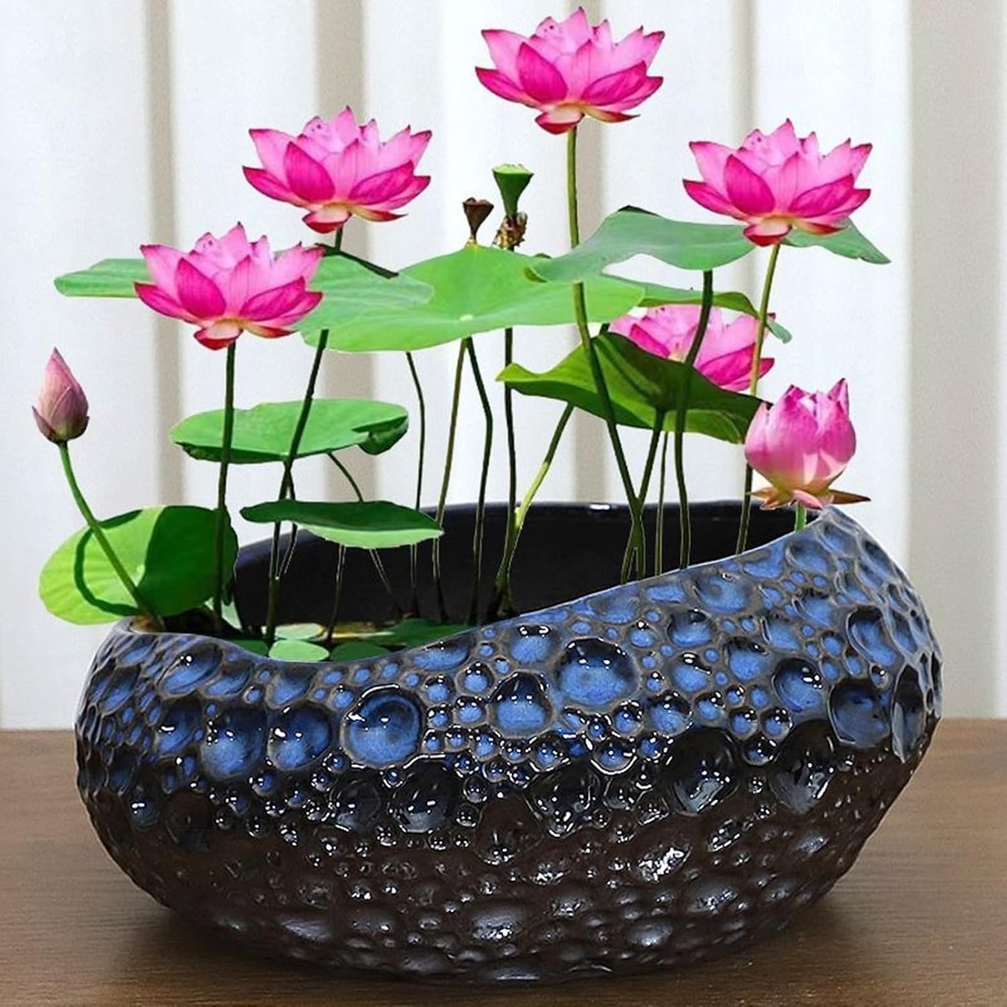 Lotus Bowl Planter, Lotus Bowls for Planting in Water Indoors, Ceramic Planters for Indoor Plants, Thickened Round Planter, for Succulent Plants Leak-Proof Design (Blue Planet)
