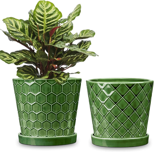BUYMAX Plant Pots Indoor –6 inch Ceramic Flower Pot with Drainage Hole and Ceramic Tray - Gardening Home Desktop Office Windowsill Decoration Gift, Set of 2(Patina)