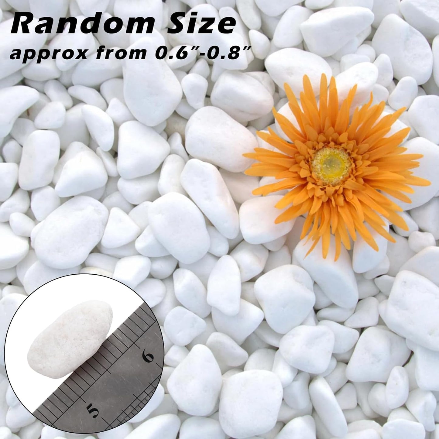 11 Lbs Natural River Rocks for Plants 0.6-0.8 inches Small White Landscaping Garden Stones White Aquarium Gravel Decorative Pebbles for Indoor Outdoor Planters Home Decor