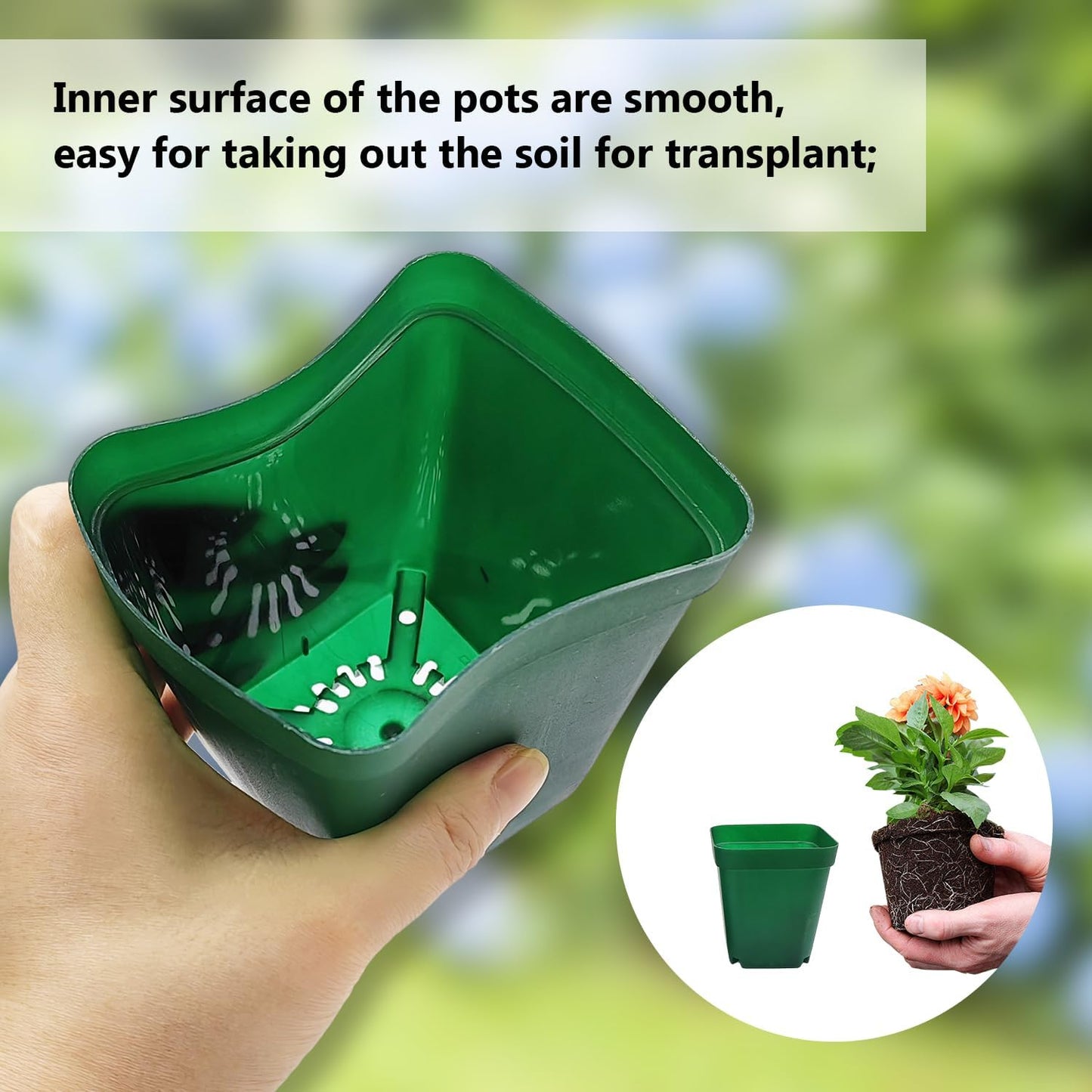 Square Nursery Succulent Pots 4 Inches 60 Pcs Deep Flower Plant Nursery Seedling Grow Pots Plastic with Drainage (Green, 4Inches, 60Pcs)