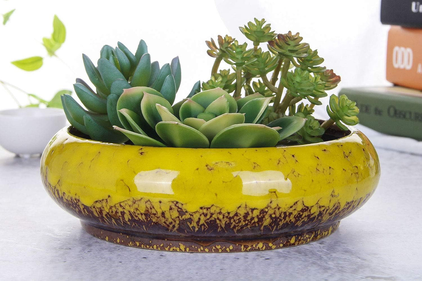 VanEnjoy 7.3 inch Round Large Shallow Succulent Ceramic Glazed Planter Pots with Drainage Hole, Bonsai Pots Garden Decorative Cactus Stand Flower Container (Yellow)
