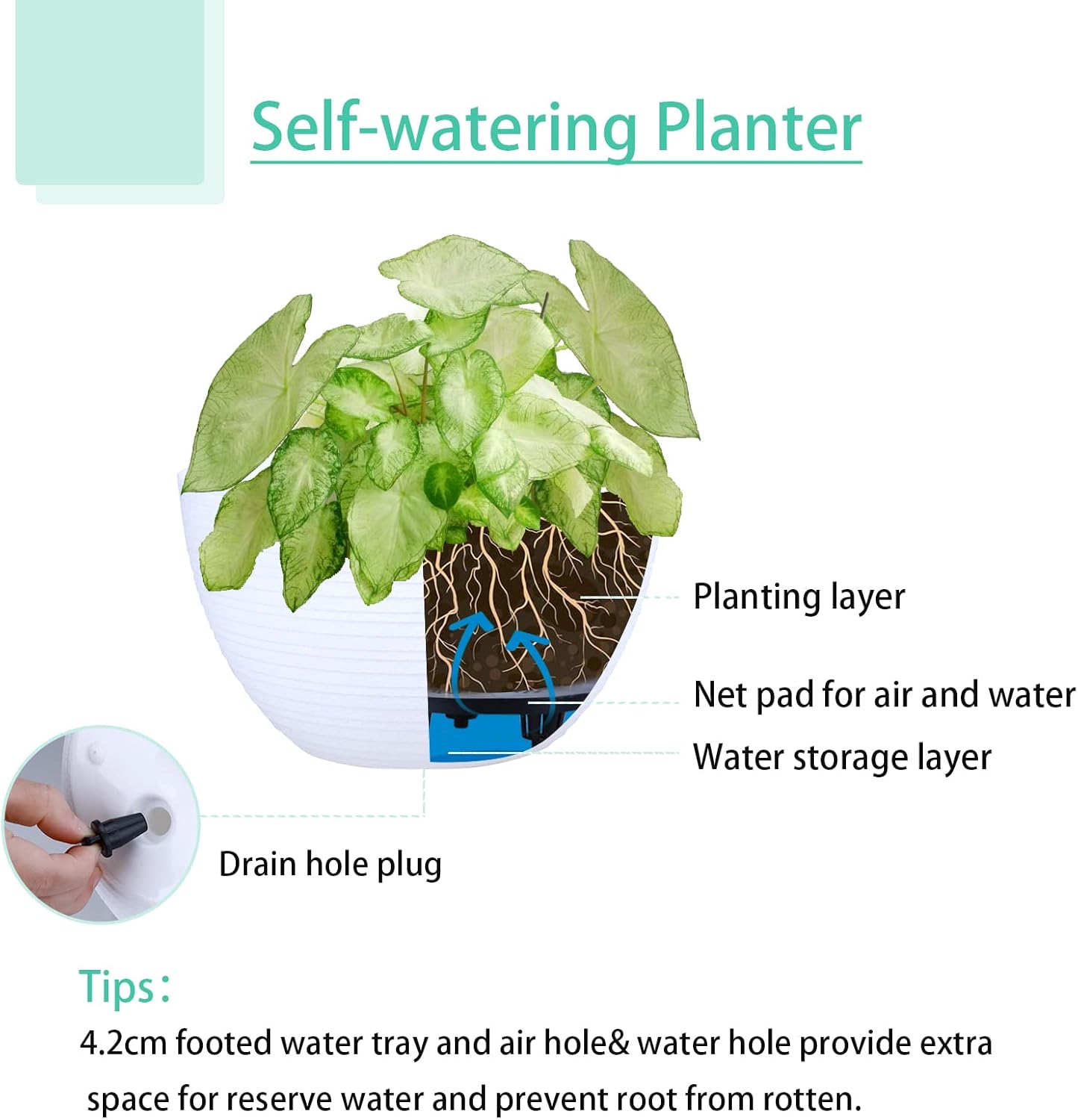 summer flower 2 Pack Self Watering Hanging Planters 9.9 Inch Hanging Baskets Plant Pots for Indoor Outdoor Hanging Plant Holder for Garden Porch Ceiling -White, Plant Not Included