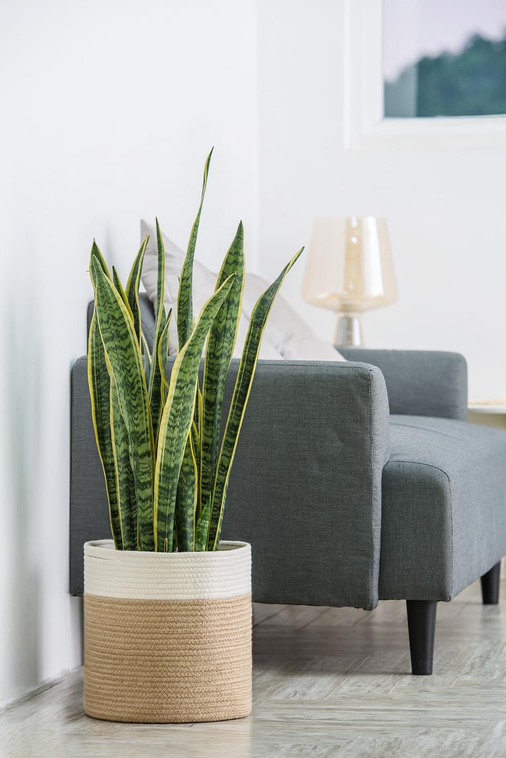 Dahey Jute Spliced Cotton Rope Plant Basket Modern Woven Storage Basket for 12" Floor Indoor Planter, Decorative Flower Pots Cover Laundry Bin with Handle Rustic Home Decor, White and Beige