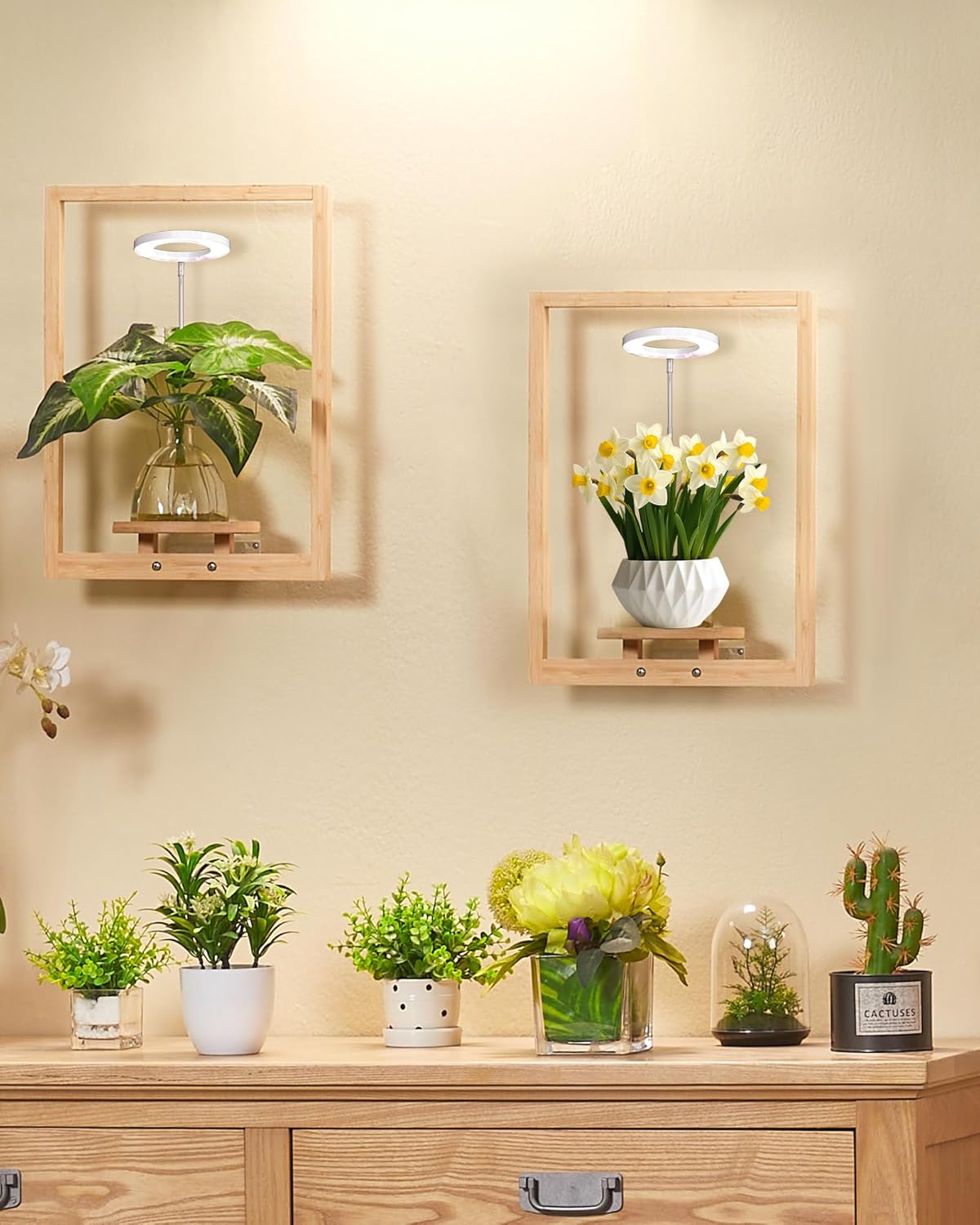 yadoker Wall Planters for Indoor Plants,Bamboo Hanging Plant Holders, Wall Decor Plant Stand, 2-Pack Window Plant Shelves with Plant Light> for Living Room & Entryway