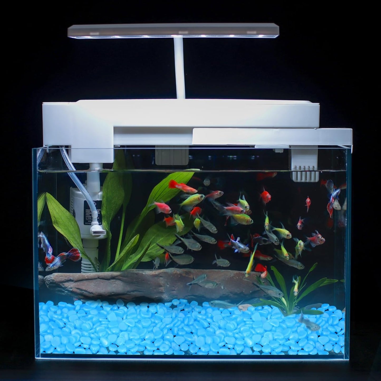 Oubest Glow in The Dark Rocks for Outdoor Landscaping Garden Stones, 0.8 Inch Glow Pebbles Luminous Stones Decorative Rocks for Vases Pathway Walkway Yard Patio Fountain Driveway, 150PCS, Multicolor