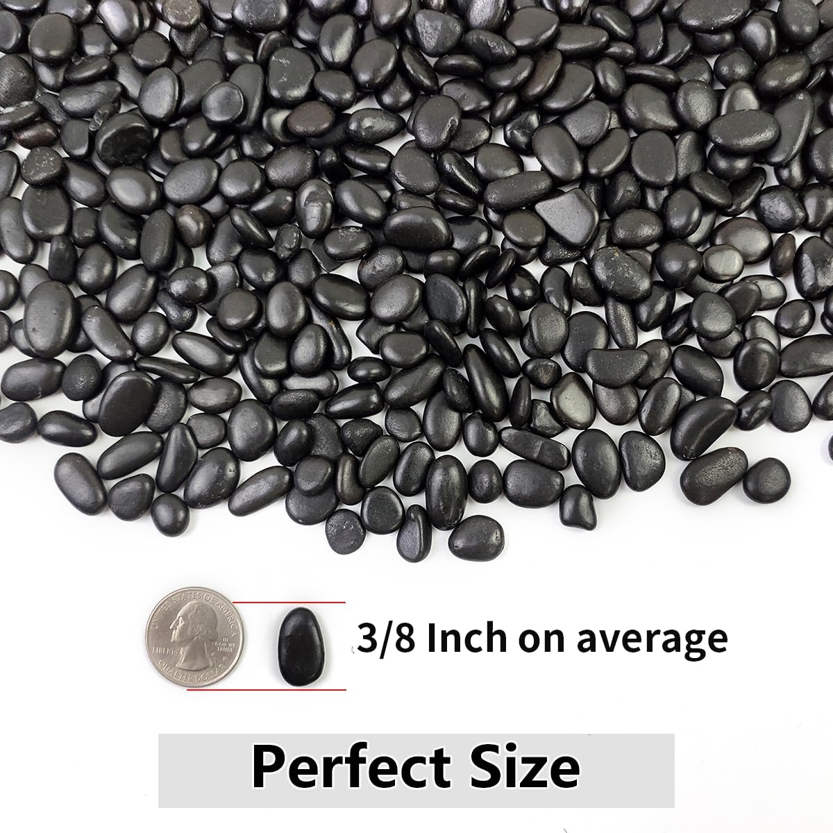 2LB Succulent and Cactus Black Pebbles, 3/8 Inch Natural Decorative Polished Stones, River Rocks for Indoor Plants, Vases, Planters and Outdoor Gardening