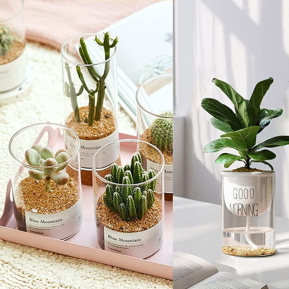 7lb Cactus Pea Gravel Rocks,1/5 Inch Pebbles for Indoor Plants, Natural Succulent Rock and River Rocks Decorative for Aquariums, Vases, Terrarium, Outdoor Gardening, Top Dressing for Potted Plants