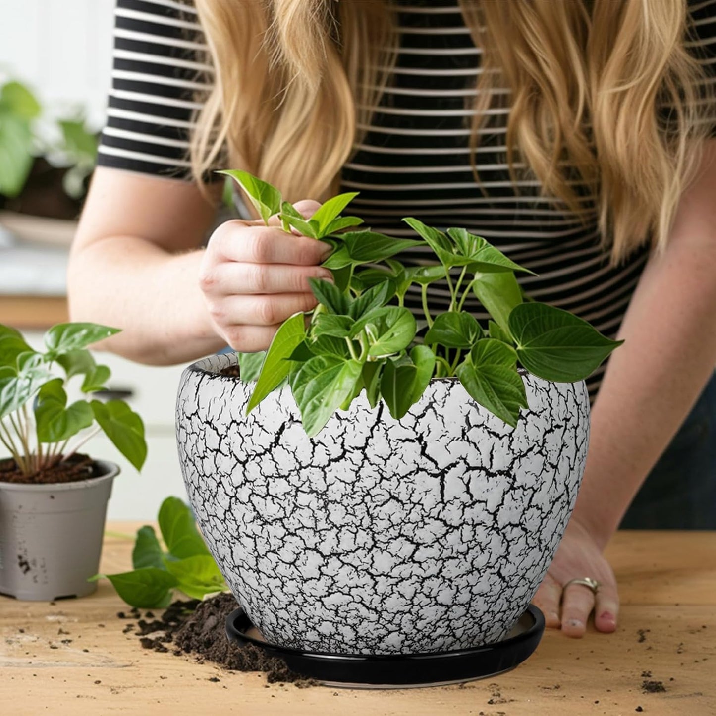 Ceramic Plant Pot 8 Inch - Ceramic Planter for Indoor Plants, Round Flower Pot with Drainage Hole and Saucer, Glaze White and Black
