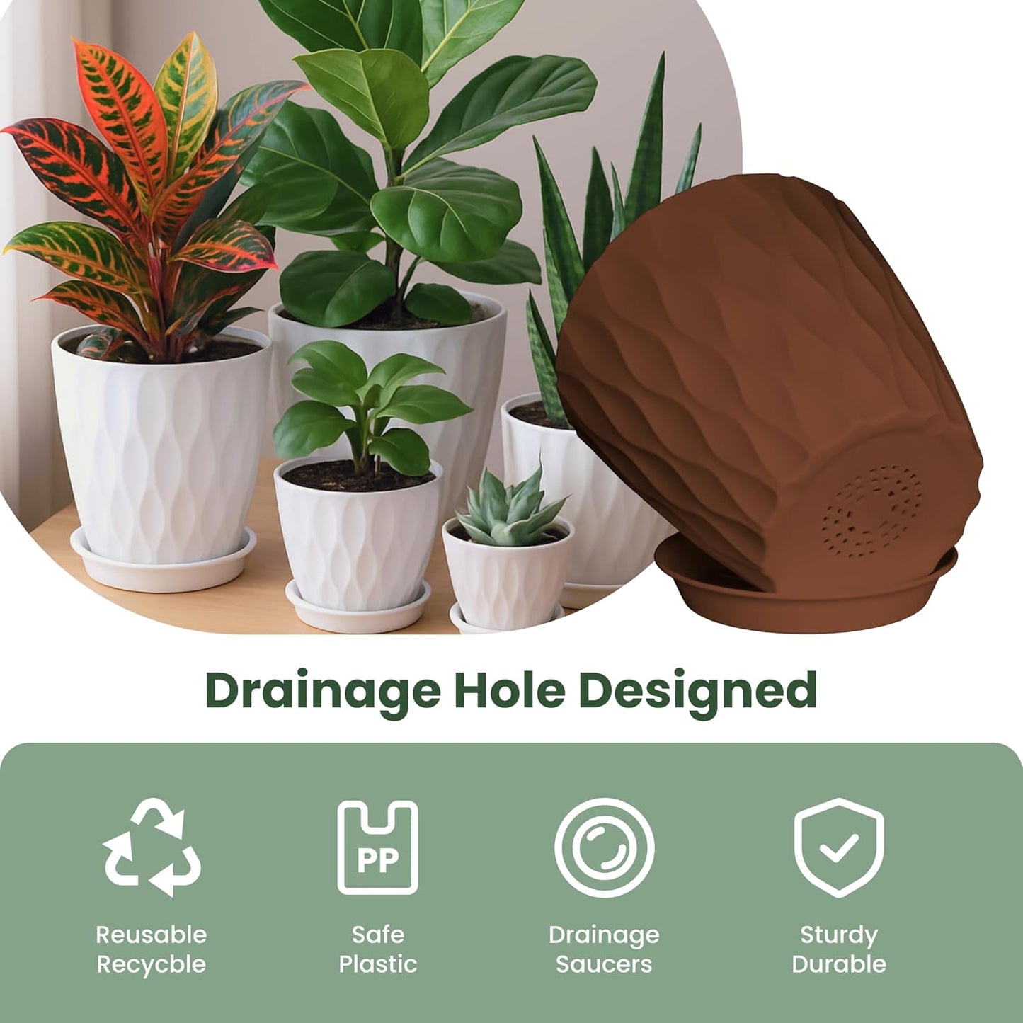 Plastic Plant Pots with Drainage Holes and Saucers, 8/7/6/5/4 Inches Garden Plant Flower Pots for Indoor Planter, 5 Pack Nursery Planting Pot for Indoor & Outdoor House Plants (Multicolor, 8/7/6/5/4)