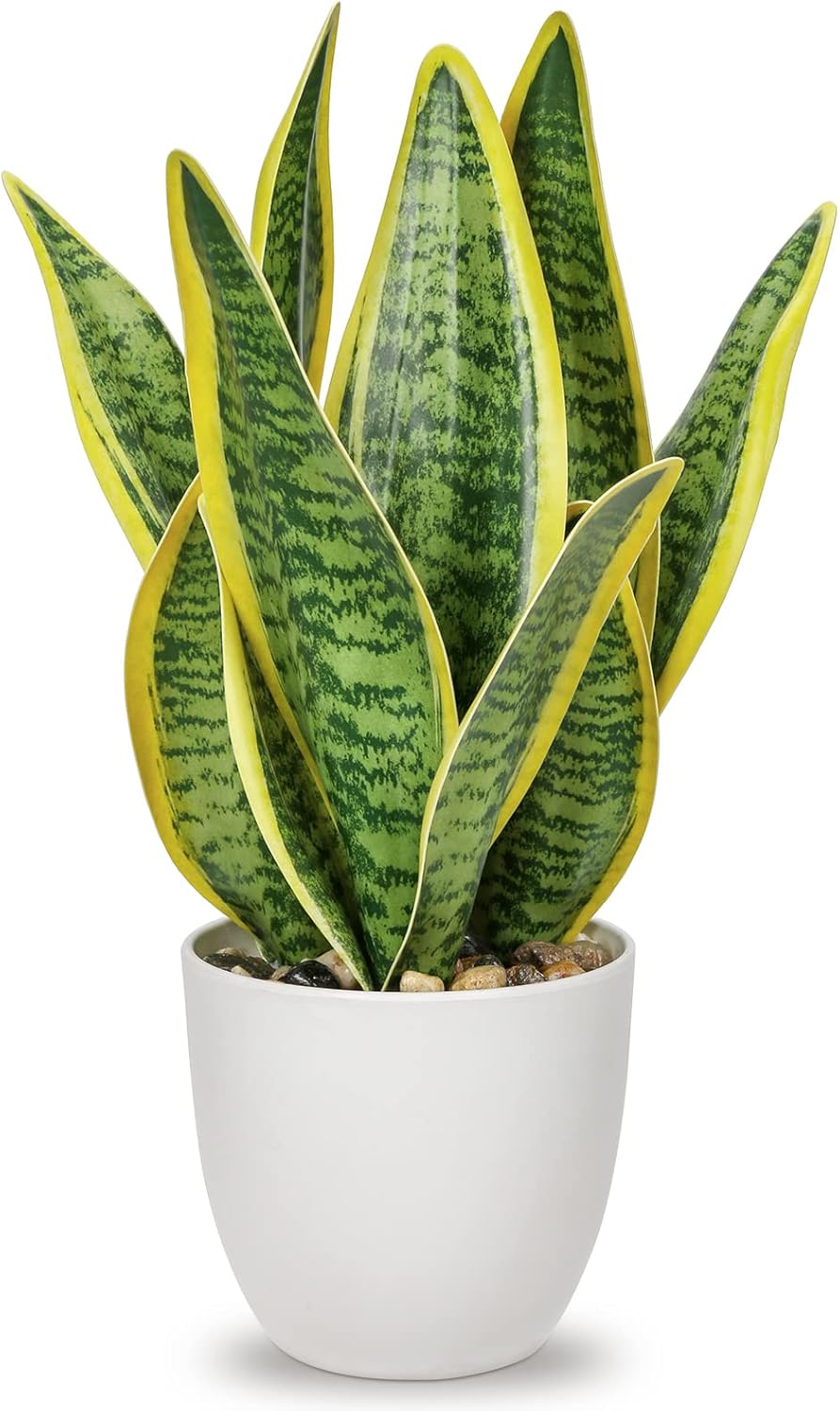 Hollyone Artificial Snake Plant Potted Faux Sansevieria Trifasciata Plants, 13" Tropical Fake Plants in White Pots for Home Office Room Indoor Decor Housewarming Gifts