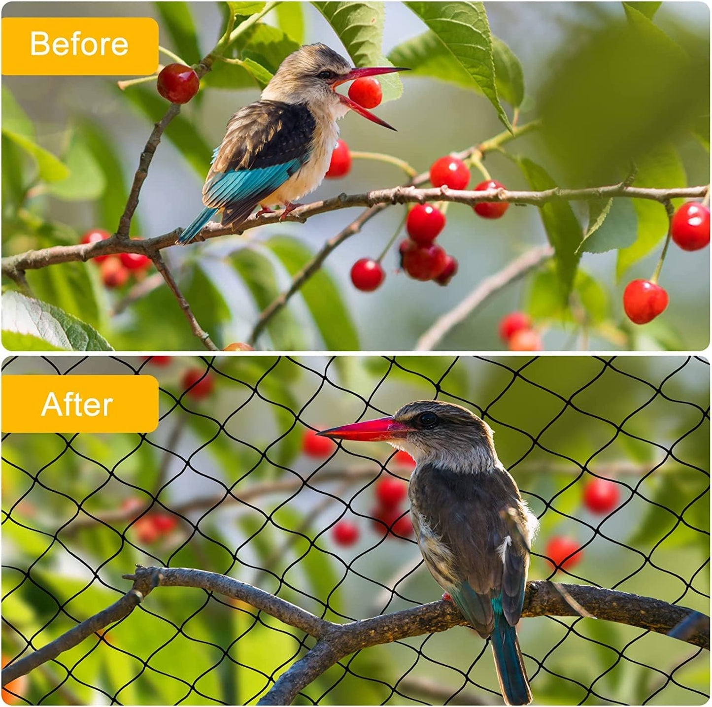 Bird Netting 25'x100' with 2.4" Square Mesh Chicken Coop Nettings, Poultry Netting Heavy Duty Nylon Nettings, Hawk Net for Chicken Run, Deer Fence Garden Fruit Tree Net