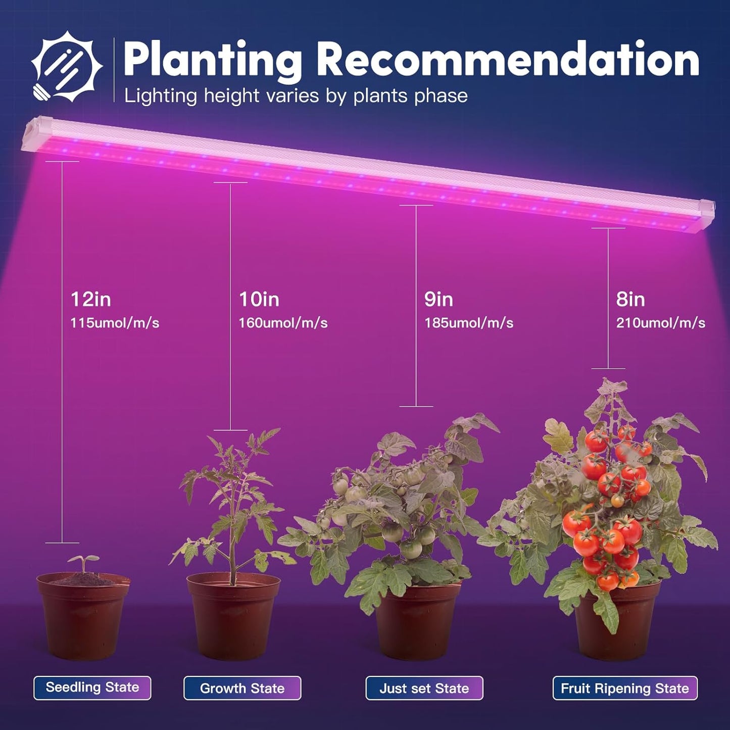 FREELICHT 1 Pack 4FT LED Grow Light, 40W (250W Equivalent), Red Blue (660nm+460nm) Full Spectrum Grow Light for Indoor Plants, Linkable Plug in Plant Growing Lamps for Hydroponic Seeding Veg Flower