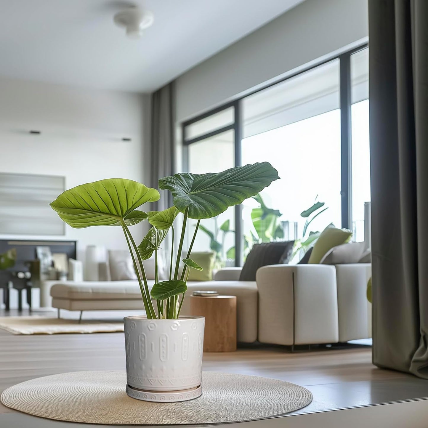 Ceramic Pots for Plants 12 Inch - Large Ceramic Planters for Indoor Plants Outdoor Modern Flower Pot with Drainage Holes and Saucer for Office Garden Patio White