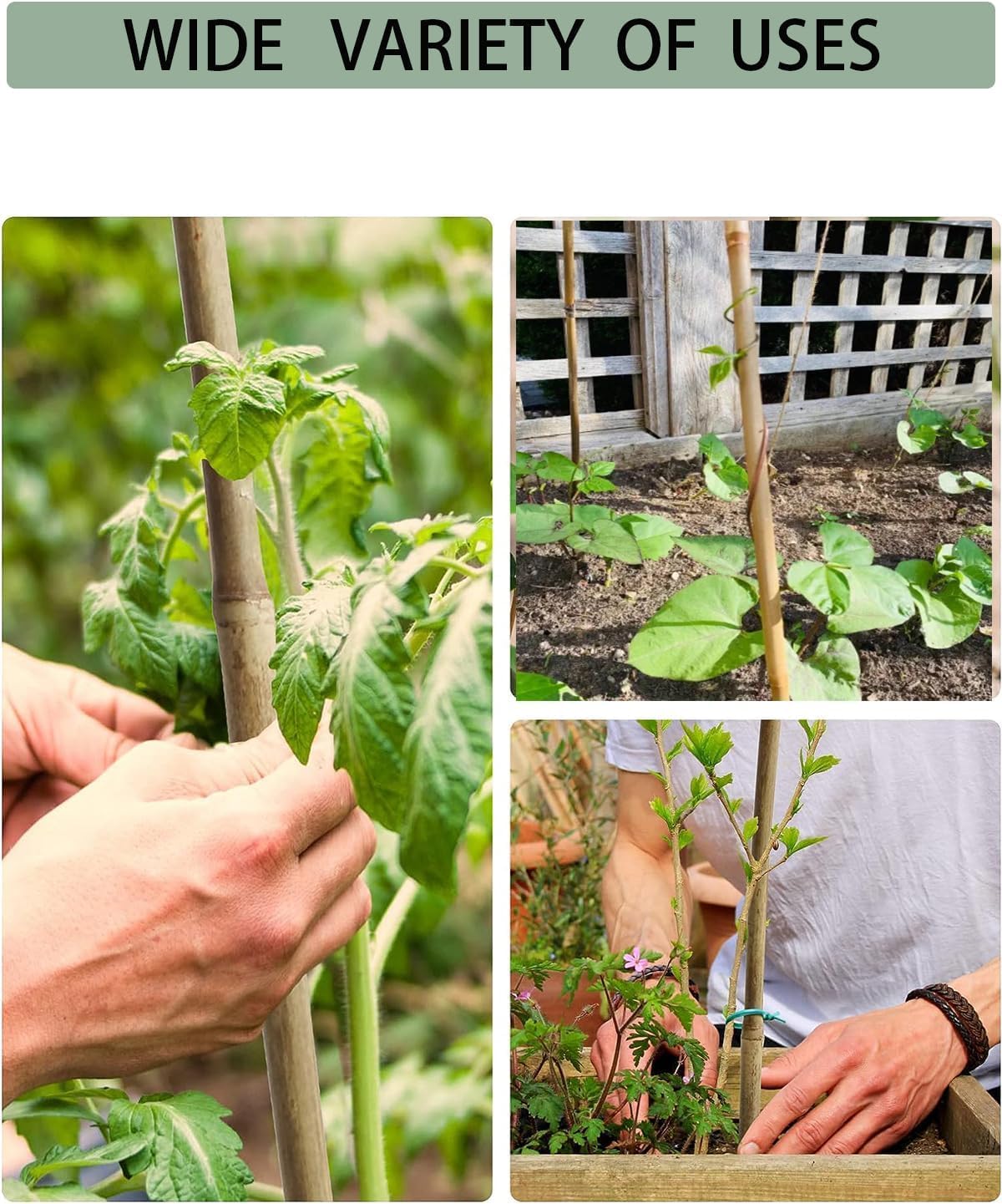 60 Pack 58 inch Bamboo Stakes for Plant with 200 Twist Ties Bamboo Sticks Plant Support Garden Stakes Poles for Tomatoes Cucumber Grapes Pole Beans Trees Potted Dahlia Flowers