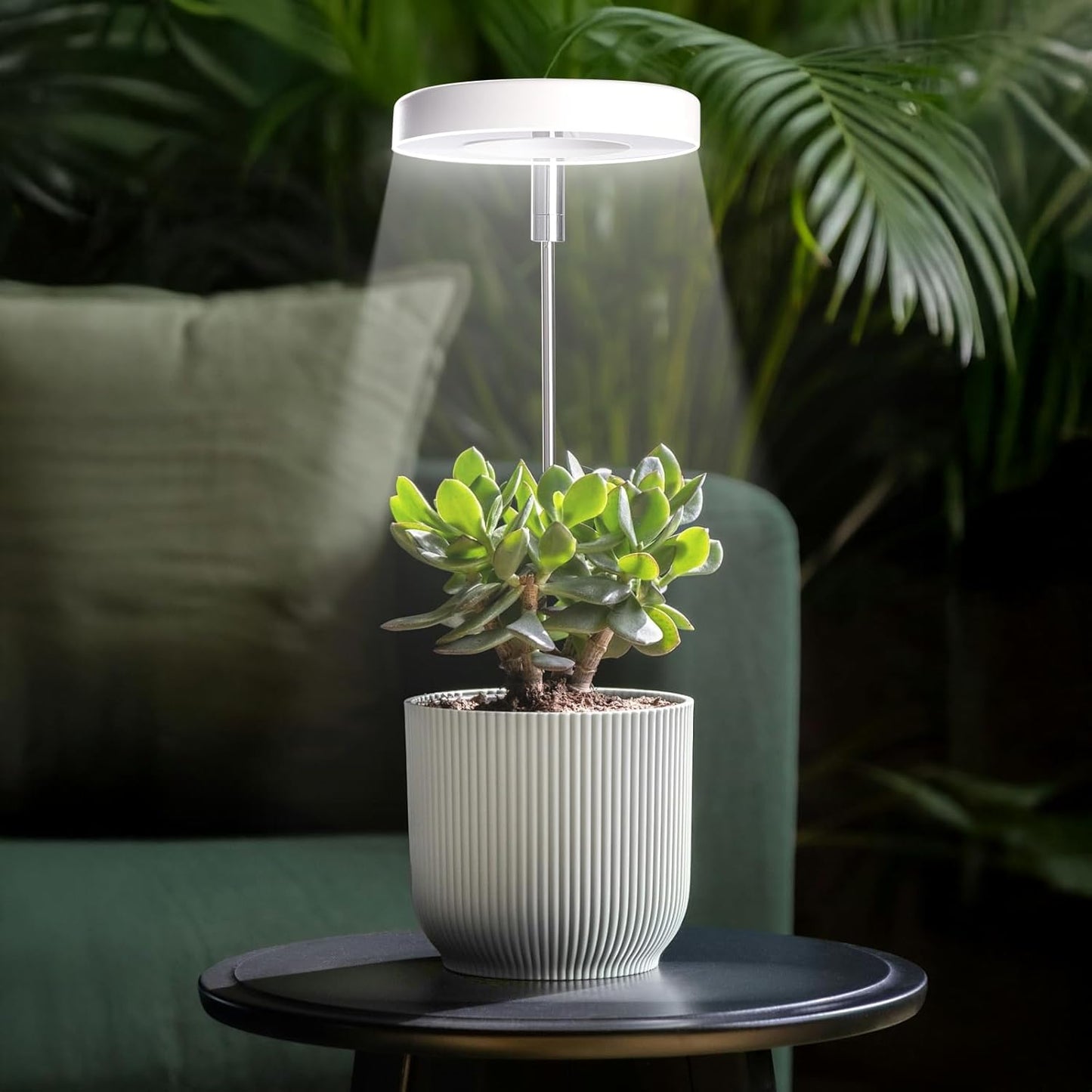 Grow Lights for Indoor Plants Small Potted - Full Spectrum, Auto 3/9/12H Timer, 10-Level Dimming & Adjustable Height - Compact Grow Light for Succulents, Herbs, Foliage in Home/Office (White,1PACK)