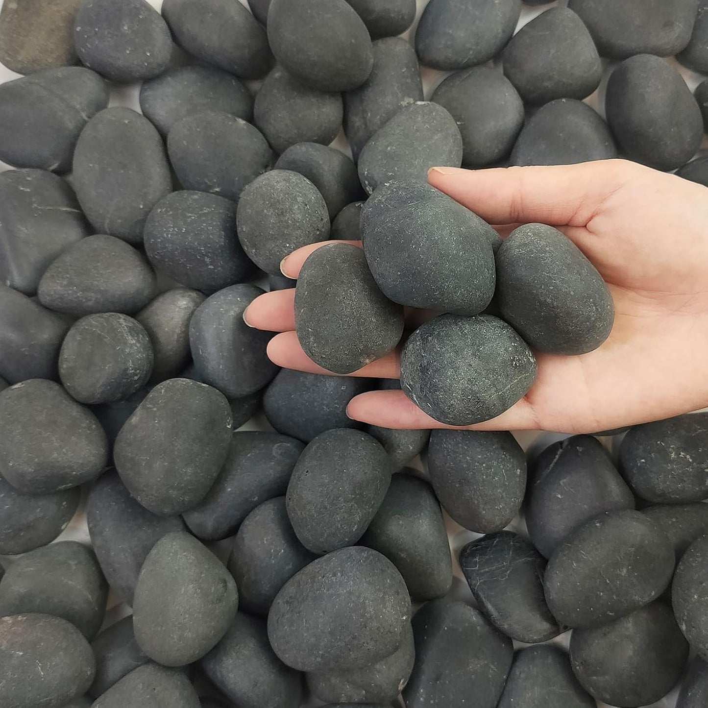 5 lbs Black Pebbles for Indoor Plants, 1-2 Inch Stones Natural Decorative Black River Rocks for Planters, Painting, Aquarium, Outdoor Garden Landscaping, Walkways and Yards