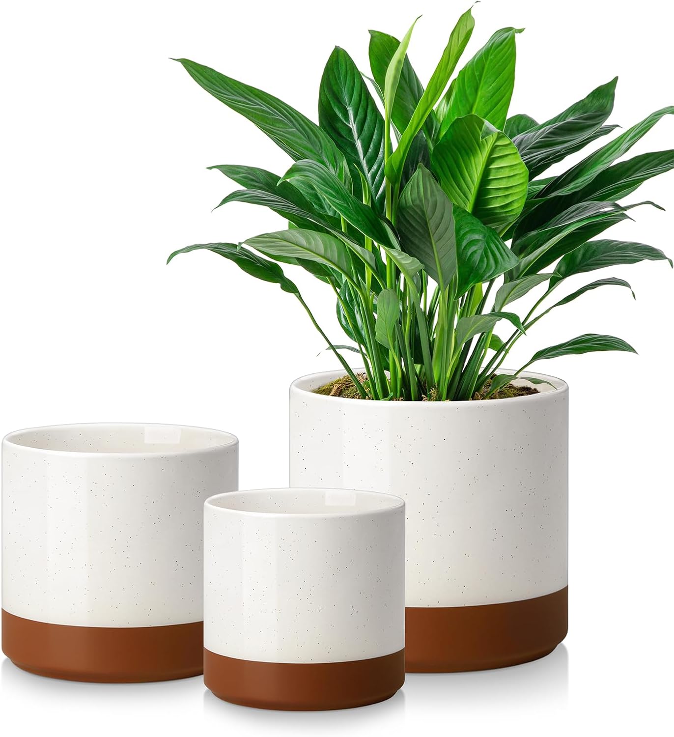 vancasso 6"+8"+10" Ceramic Pot for Plants, Large Outdoor Indoor Planter Pots with Drainage Holes, Set of 3, Khaki