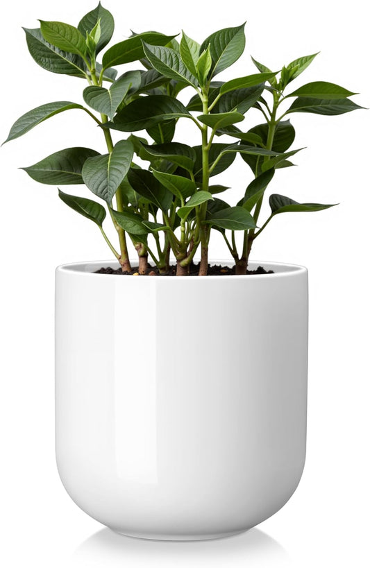 vancasso 6 Inch Ceramic Plant Pots, Planters with Drainage Hole, Flower Pots Planters Pots for Indoor Plants, Modern Indoor Decorative Garden Pot, Home Decor, White
