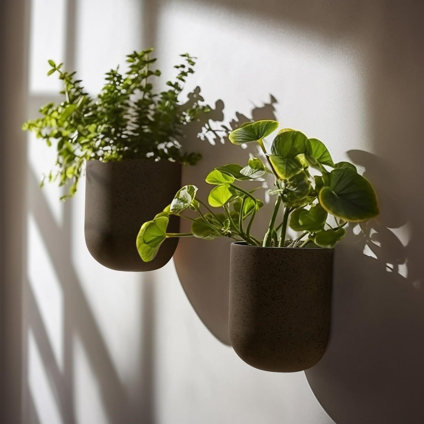 LA JOLIE MUSE Wall Hanging Planters for Indoor Plants, Hanging Flower Pots for Air Plants Succulent, Set of 2, 5.7L*4.1W*7H, Iron Rust