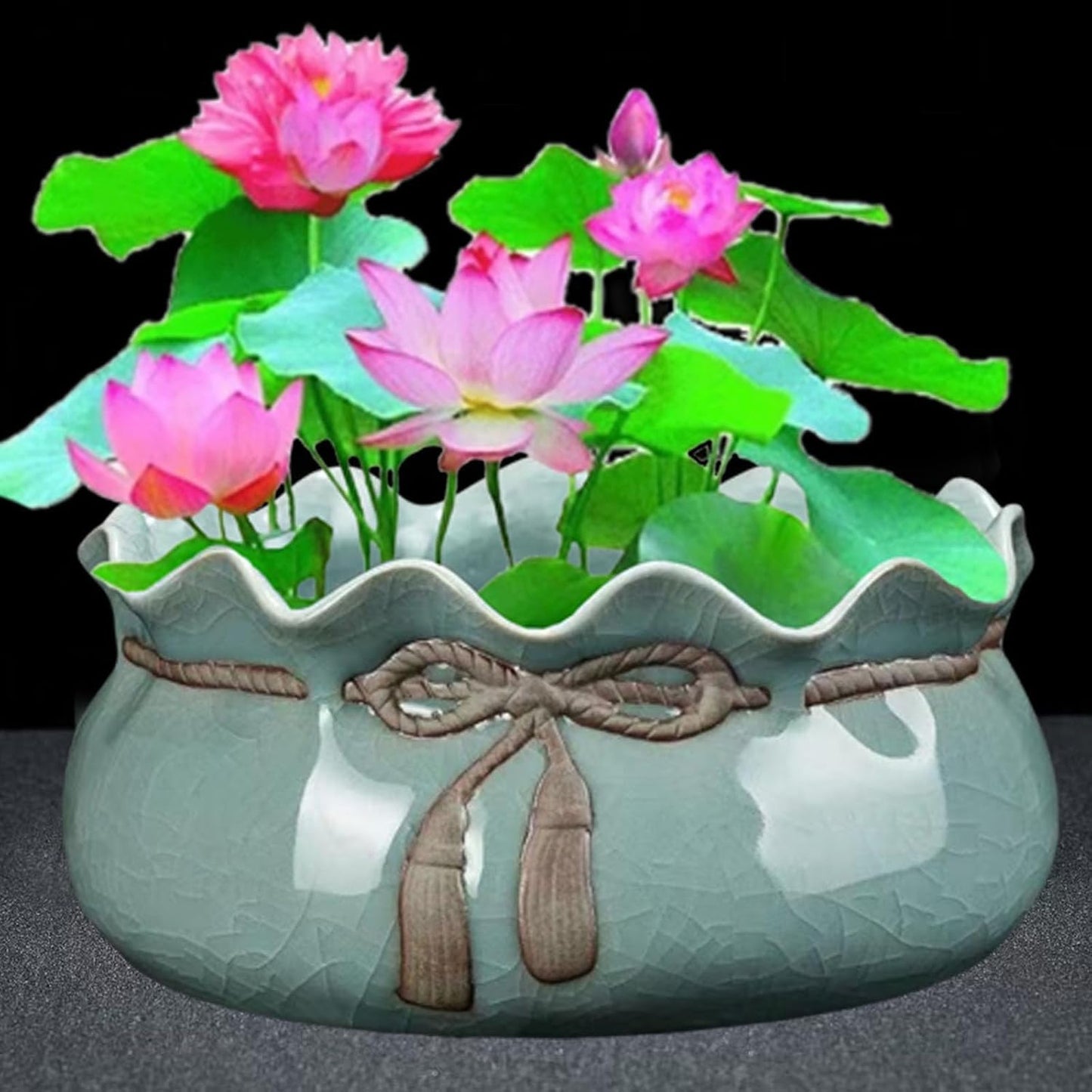 Lotus Bowl Planter, Lotus Bowls for Planting in Water Indoors, Ceramic Planters for Indoor Plants, Thickened Round Planter, for Succulent Plants Leak-Proof Design (Cornucopia)
