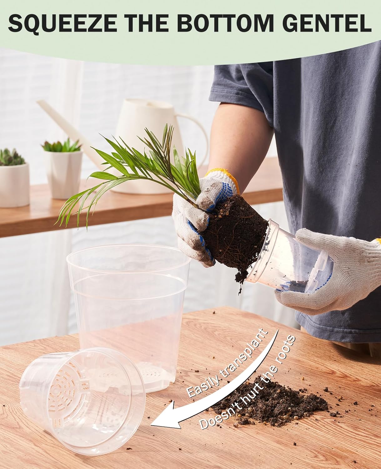 homenote Clear Nursery Pots for Plant,3/4/5 Inch Plant Pot for Planting Plastic Seedling with Drainage Holes Seed Starter Flower High Transparency 20 Labels Excellent Hardness(30 Pack)