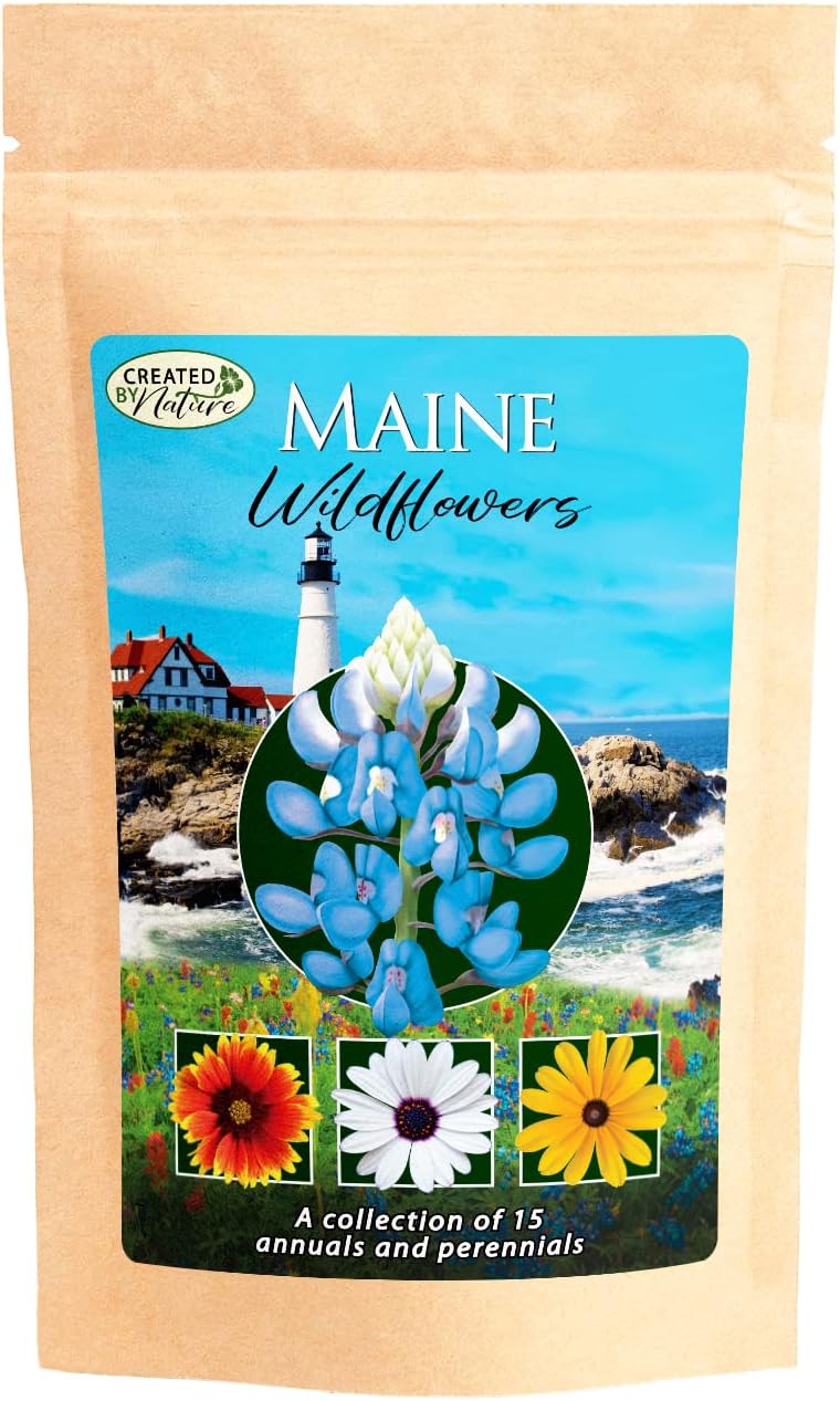 Created By Nature Maine Wildflower State Mix, 15 Flower Varieties, 50,000 Seeds
