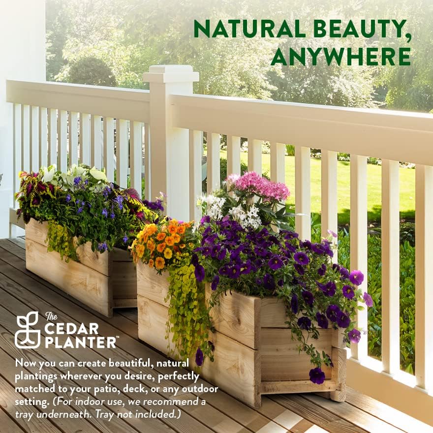 Greenes Fence Cedar Wood Planter Box, 21" x 11" x 7" - Made in USA with North American Cedar