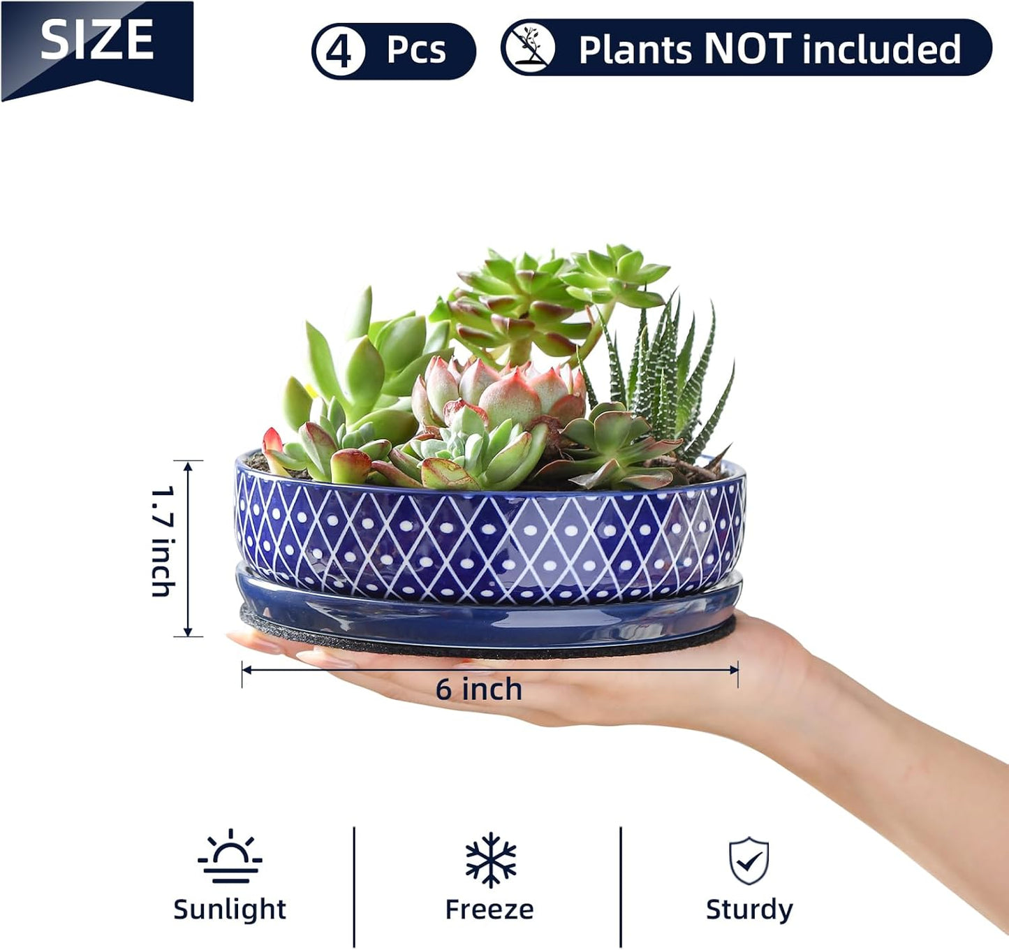 Selamica Ceramic Succulent Pots with Drainage Hole & Saucer for Cactus, Herb, Home Decor, Set of 4, Blue