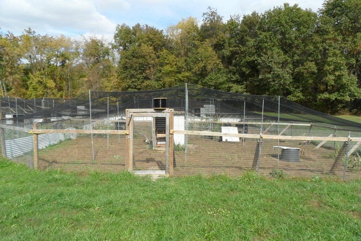 Poultry Netting 1" or 2" Mesh Heavy Knotted Nets Aviary Gamefowl Quail Chicken Bird Block Net Long Lasting Break/Burst 85/245 lb Polyethylene 8-10 Year Lifespan (25' X 25', 1)