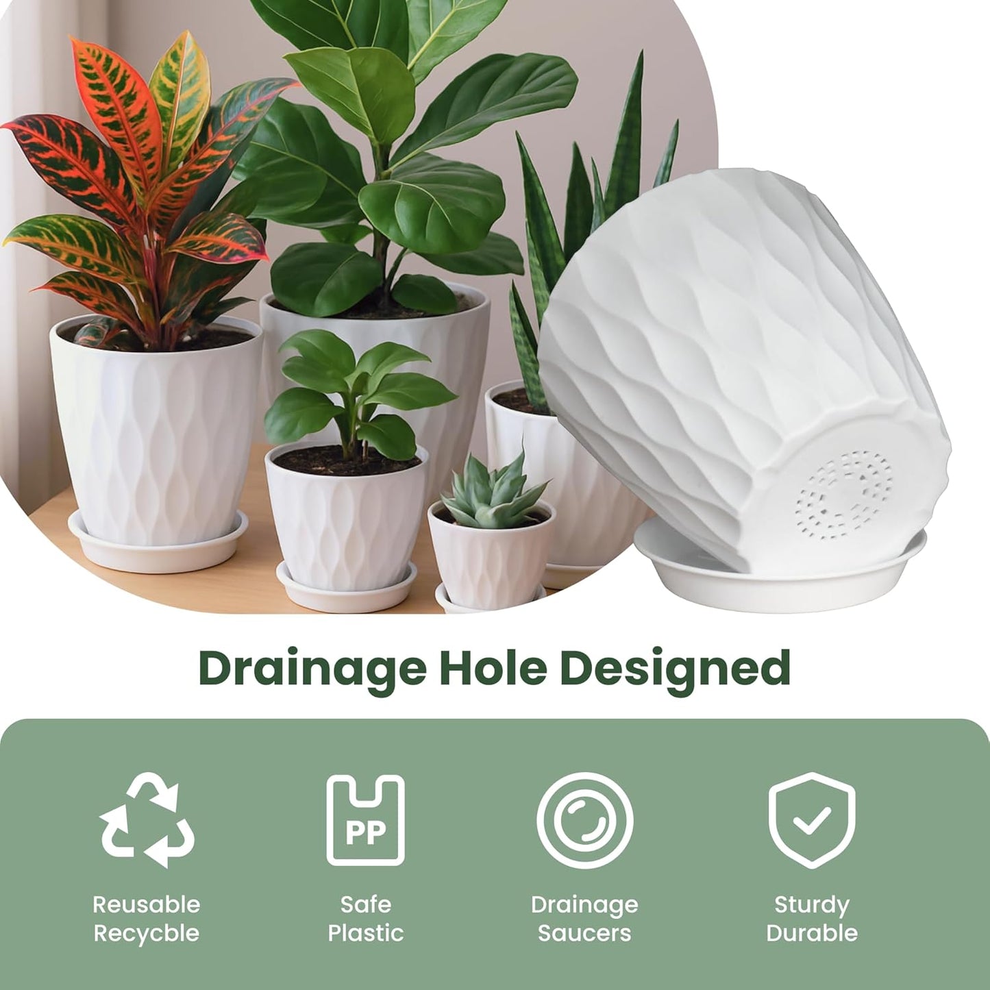 Plastic Plant Pots with Drainage Holes and Saucers, 8/7/6/5/4 Inches Garden Plant Flower Pots for Indoor Planter, 5 Pack Nursery Planting Pot for Indoor & Outdoor House Plants (White, 8/7/6/5/4)