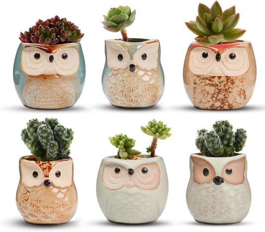 T4U 2.5 Inch Owl Ceramic Succulent Planter Pots with Drainage Hole Set of 6, Mini Cute Flower Pots Tiny Plant Holder Container Best for Home Office Garden Decoration Owl Gift Ideas