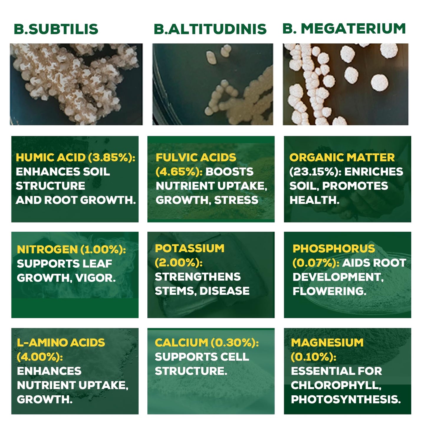 Organic Liquid Plant Food for Indoor Plants & Gardens, Natural NPK Fertilizer w/Beneficial Microbes, Rapid Results, Vegan, Best Value Super Concentrate, Smart Grower, Makes 40 Gallons (8 Fl Oz)