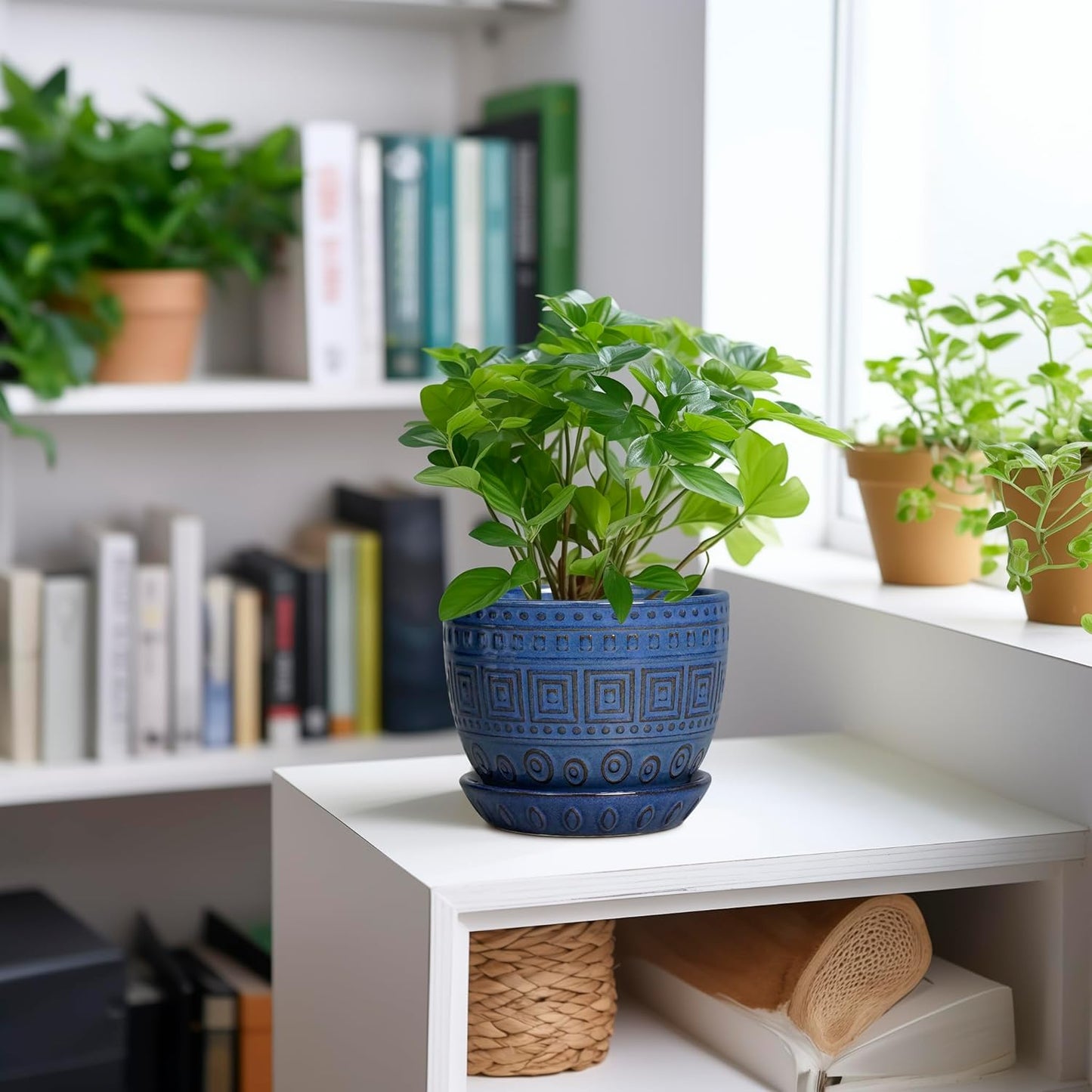 G EPGardening Plant Pots Indoor 5 Inch - Ceramic Pot for Plants with Drainage Hole and Saucer Round Planter Outdoor Modern Flower Pot Home Office Decor Blue