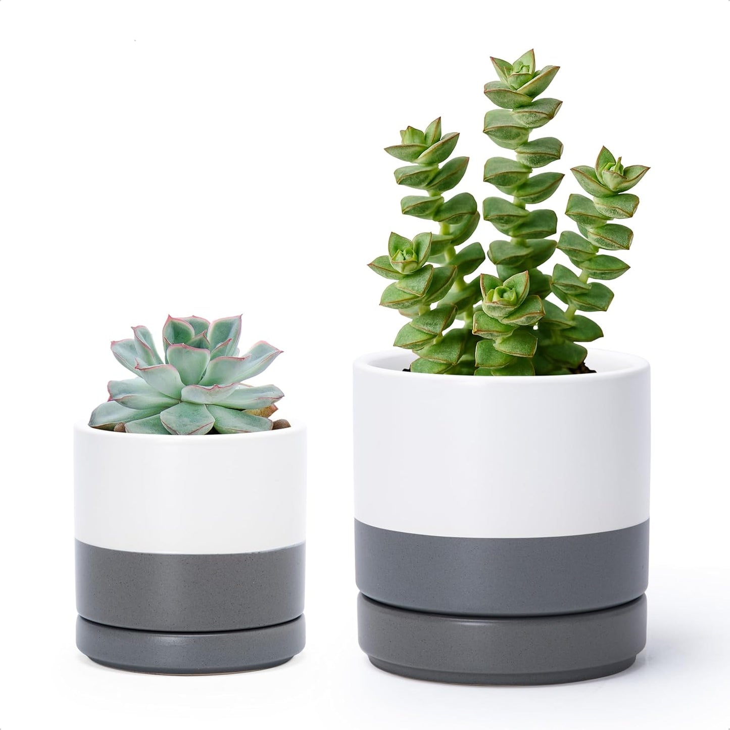 D'vine Dev 3.5 Inch & 4.7 Inch Ceramic Planter Pots for Plants with Drainage Hole and Saucer, X-Small Plant Pots Set, White/Speckled Grey, 94-G-XS-6