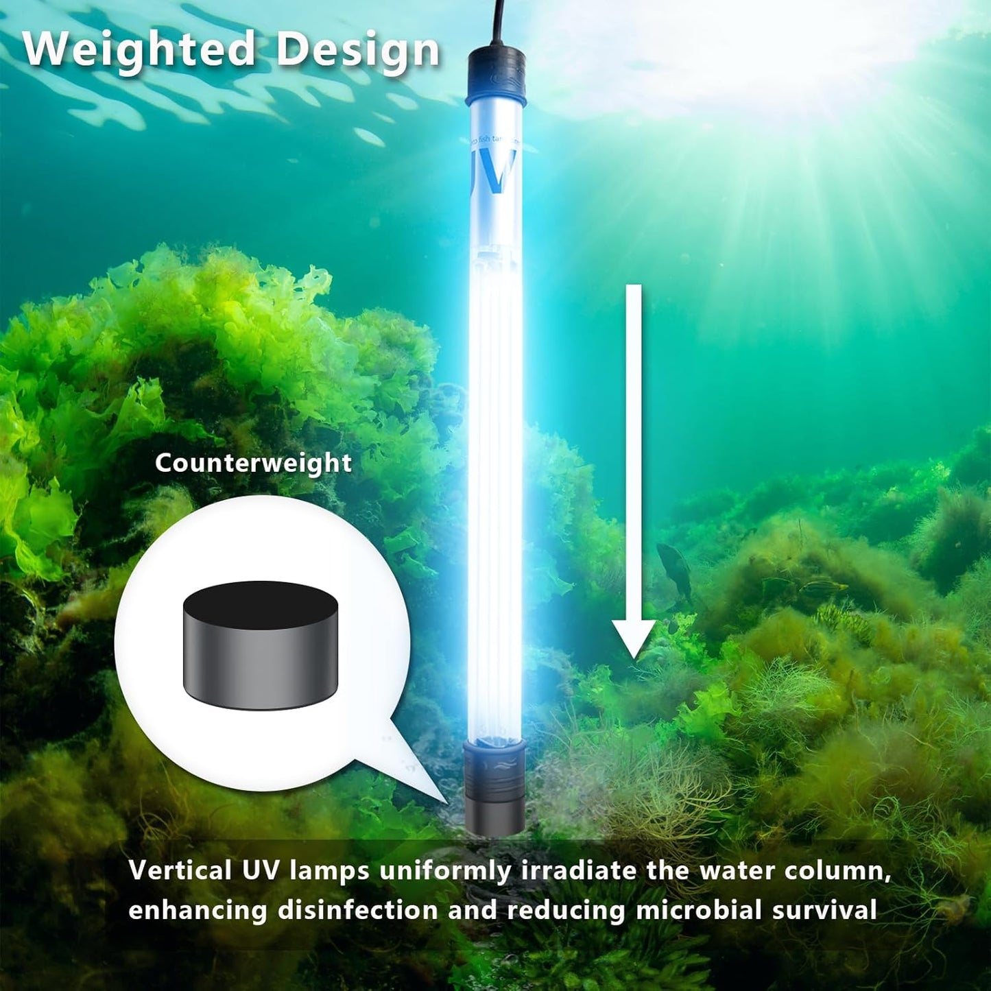55W Pond UV Light for 500-5000 Gallon, Aquarium UV Light, UV Water Clarifier for Pond, Cold Plunge, Aquarium, Ice Bath, Hot Tub, Swimming Pool, Spa and Fish Tank