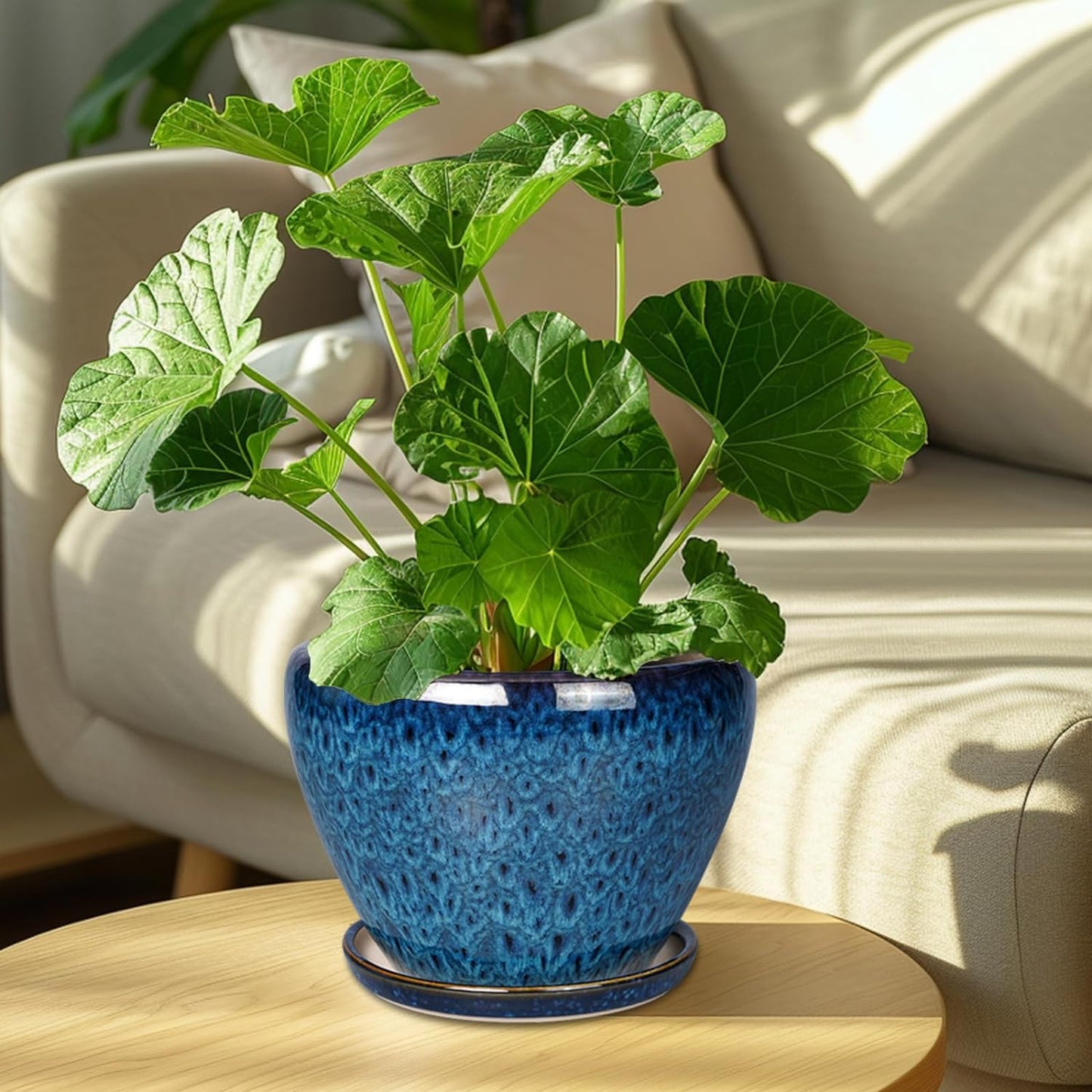 8 Inch Ceramic Plant Pot, Ceramic Planter Pot for Indoor Outdoor Plants, Round Flower Pot with Drainage Hole and Saucer, Blue