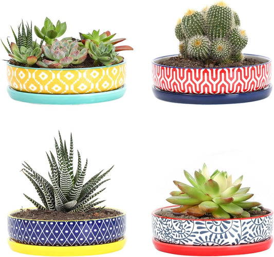 Selamica Ceramic Succulent Pots, 6 Inch Shallow Succulent Planters with Drainage Hole & Saucer, Indoor Plant Pots for Cactus, Herb, Home Decor, Set of 4, Assorted Colors