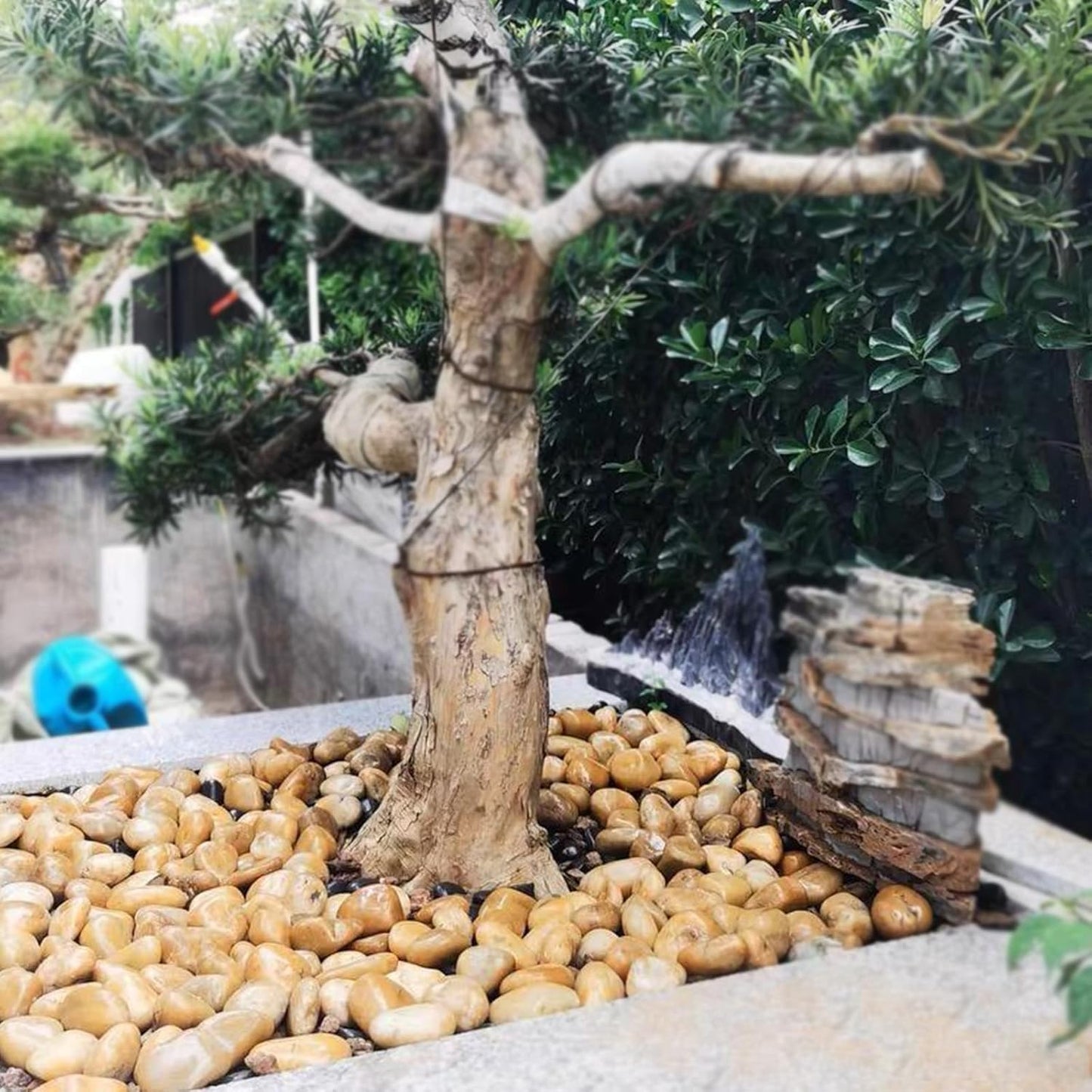 40 lbs Yellow River Rocks for Landscaping, 1-2 Inch Polished Pebbles for Indoor Plants, Decorative Rocks Stones for Fish Tank, Vases, Aquariums, Fountains, Pathways, Backyard and Garden