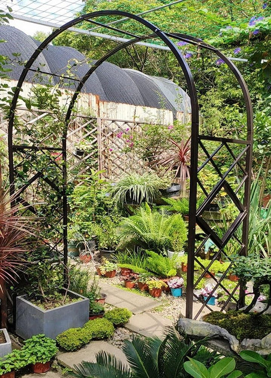 Heavy Duty Steel Garden Arbor & Trellis Arch for Grape Vines Climbing Plants Pergola Outdoor Theme Decoration Archway 180cm 260cm 340cm 140cm (Color : Black, Size : 71" W x 91" H)