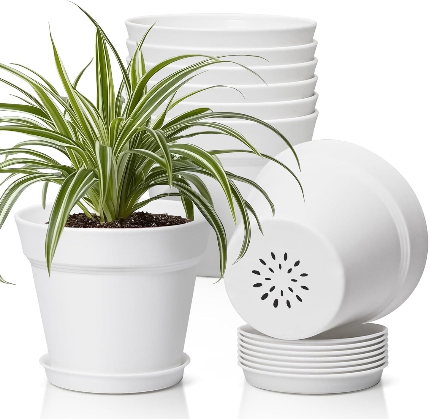 T4U 6 Inch Plant Pot 8-Pack, Plastic Planter with Drainage Hole and Saucer, Decorative Nursery Pots Bulk for African Violet, Snake Plant, Succulent, Herb and Plants Indoor (8 Pcs 6" Pots, White)