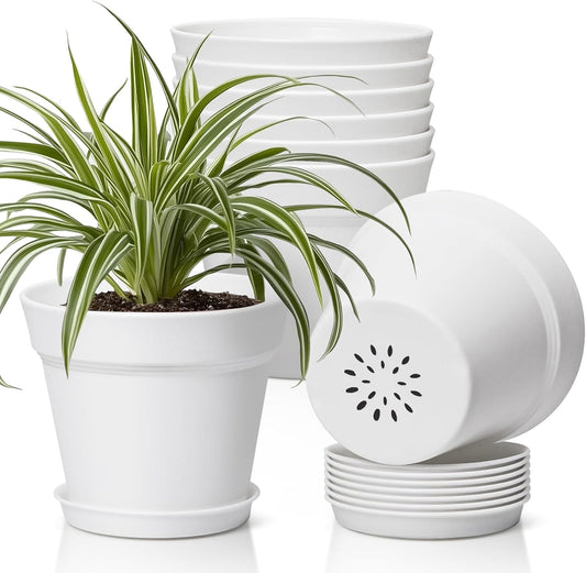 T4U 6 Inch Plant Pot 8-Pack, Plastic Planter with Drainage Hole and Saucer, Decorative Nursery Pots Bulk for African Violet, Snake Plant, Succulent, Herb and Plants Indoor (8 Pcs 6" Pots, White)