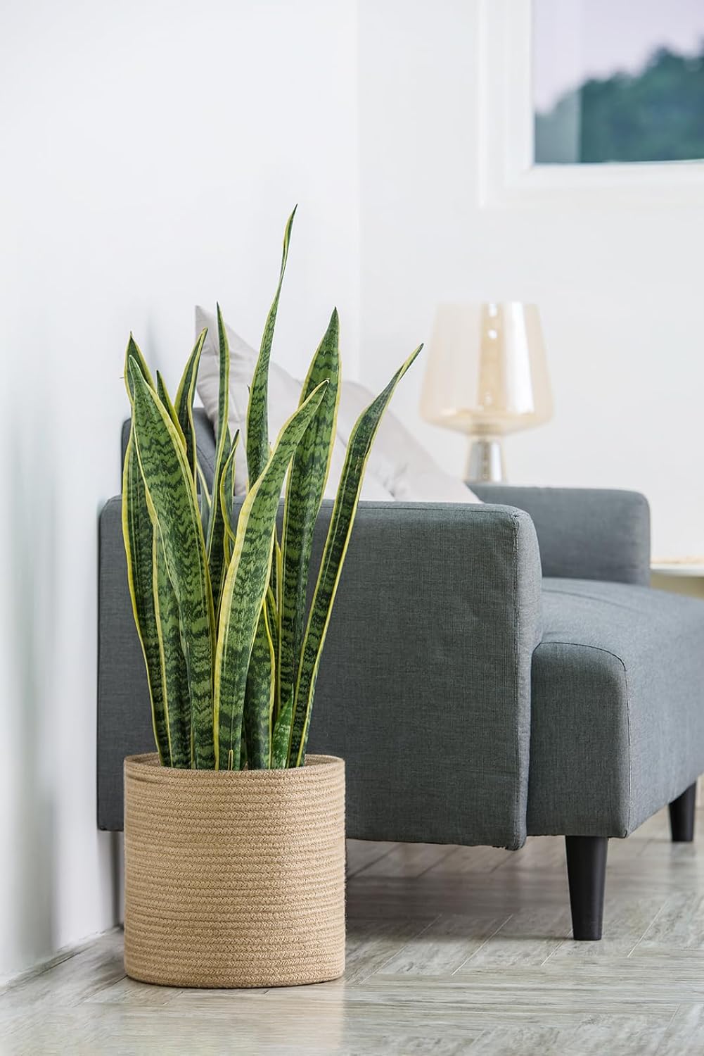 Dahey Jute Rope Plant Basket Modern Woven Storage Basket for 10.5" Indoor Planter, Decorative Flower Pots Cover Laundry Bin with Handle Rustic Home Decor, Beige