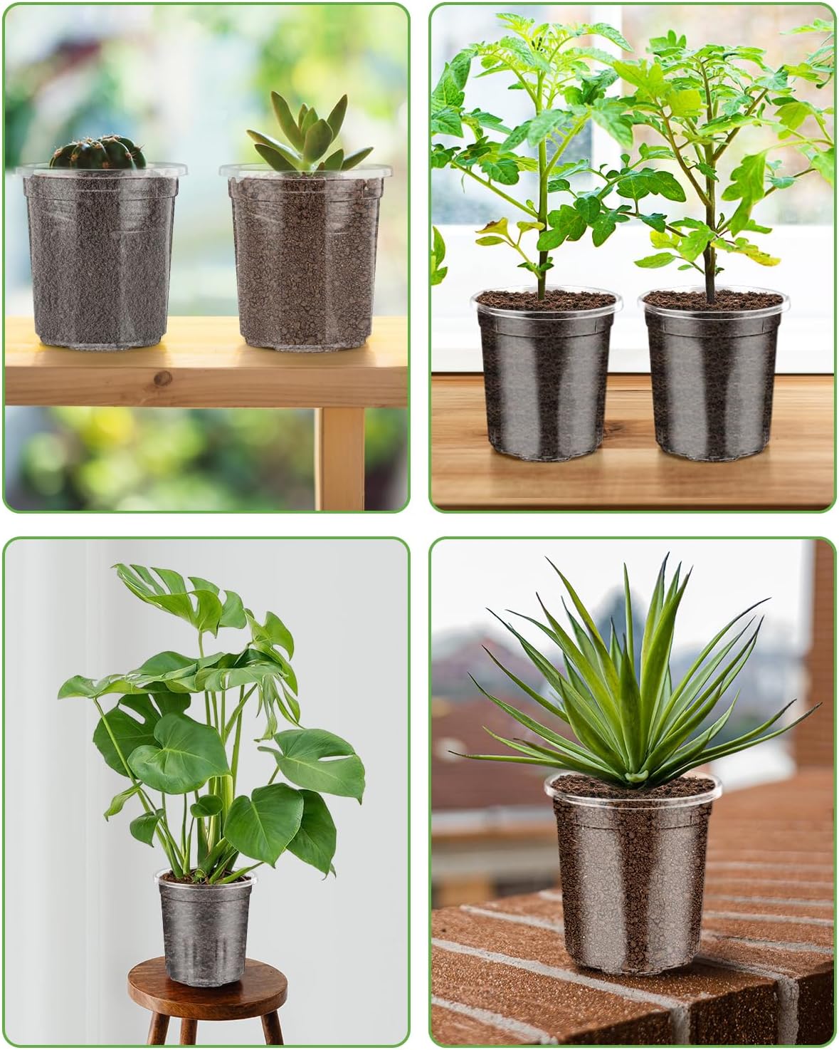 PACETAP 50Pack 4 Inch Reinforced Clear Nursery Pots with Drainage Holes, Variety Pack Plastic Plant Pots with 20 Plant Labels for Indoor Outdoor Flower Seed Starter