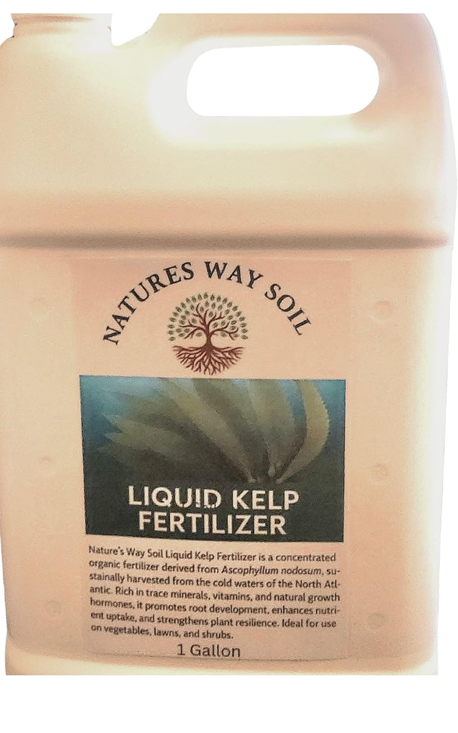 Nature’s Way Soil® Liquid Kelp Fertilizer – 1 Gallon/Makes 1890 Gallons | Organic Seaweed Plant Food for Lawn, Garden, Flowers & Vegetables | Cold-Processed | Natural Growth Booster & Soil Revitalizer
