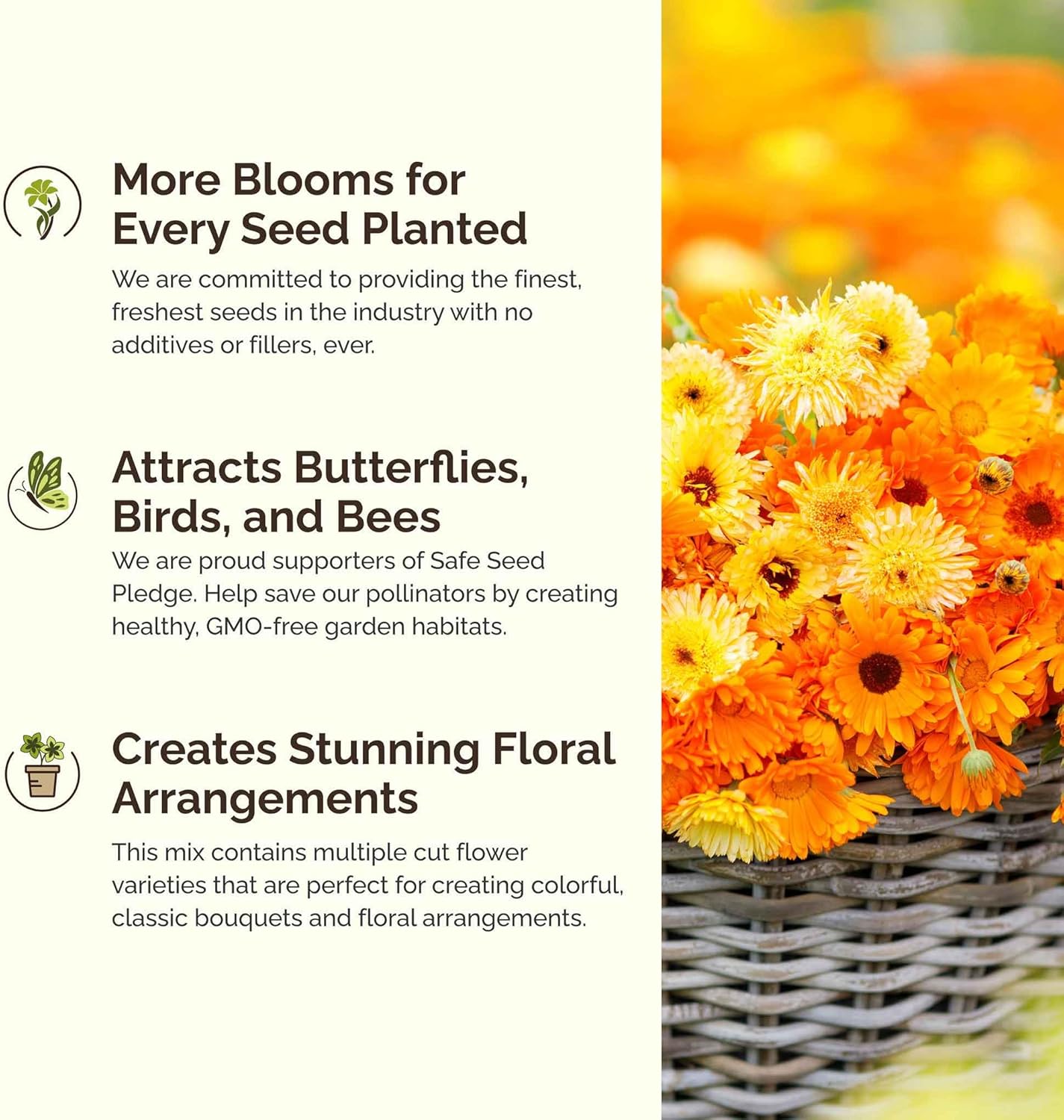 Eden Brothers Shorty Low Grow Wildflower Mixed Seeds for Planting, 1 lb, 480,000+ Seeds with Calendula, Cornflower | Attracts Pollinators, Plant in Spring or Fall, Zones 3, 4, 5, 6, 7, 8, 9, 10