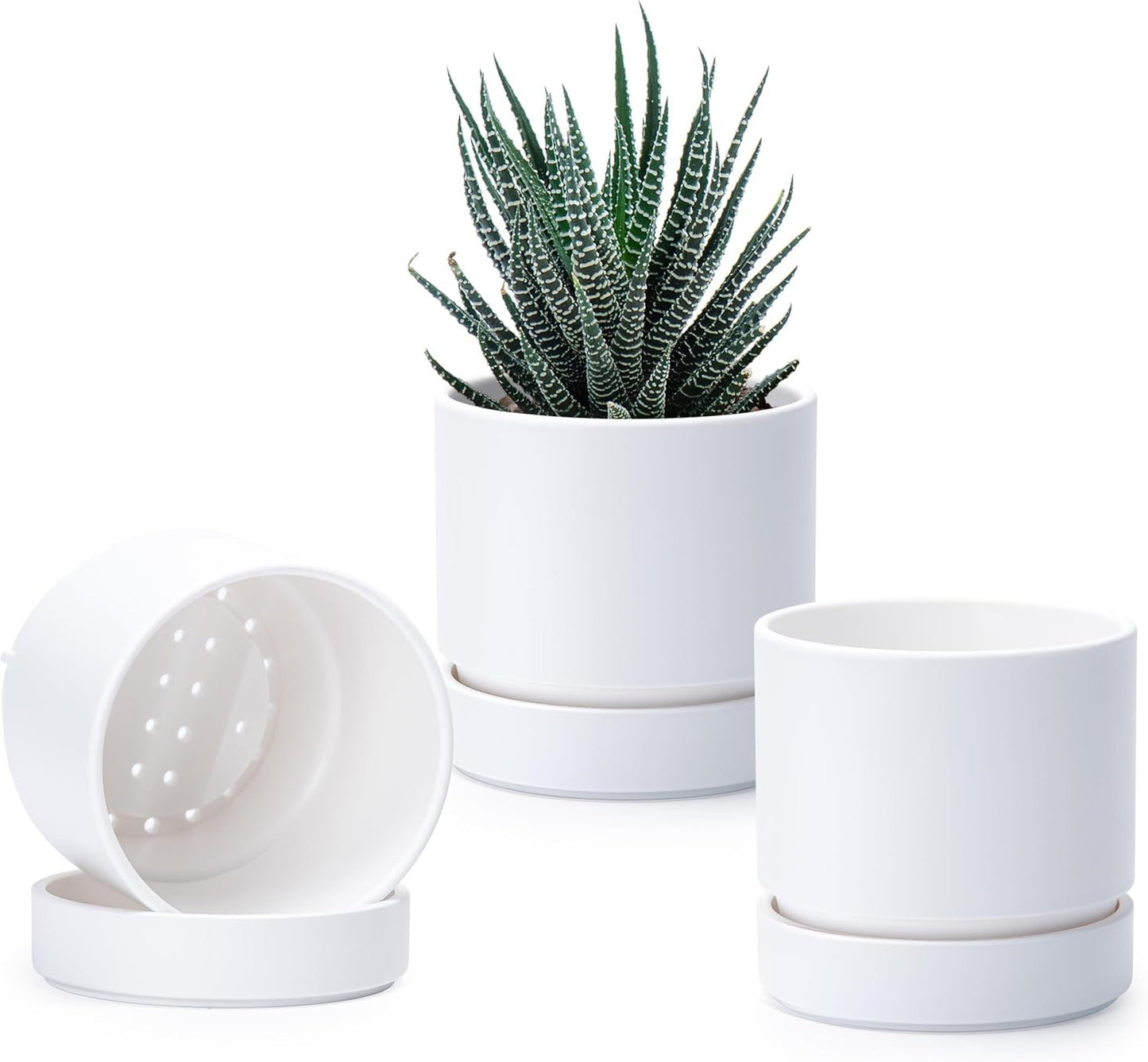 Phoenix Vine 4 Inch Planter Pot with Drainage Hole & Saucer, Deep Water Catch Tray, Straight Cylindrical Round Pot for Plants, Matte White, Pack of 3, 23-B-R-3