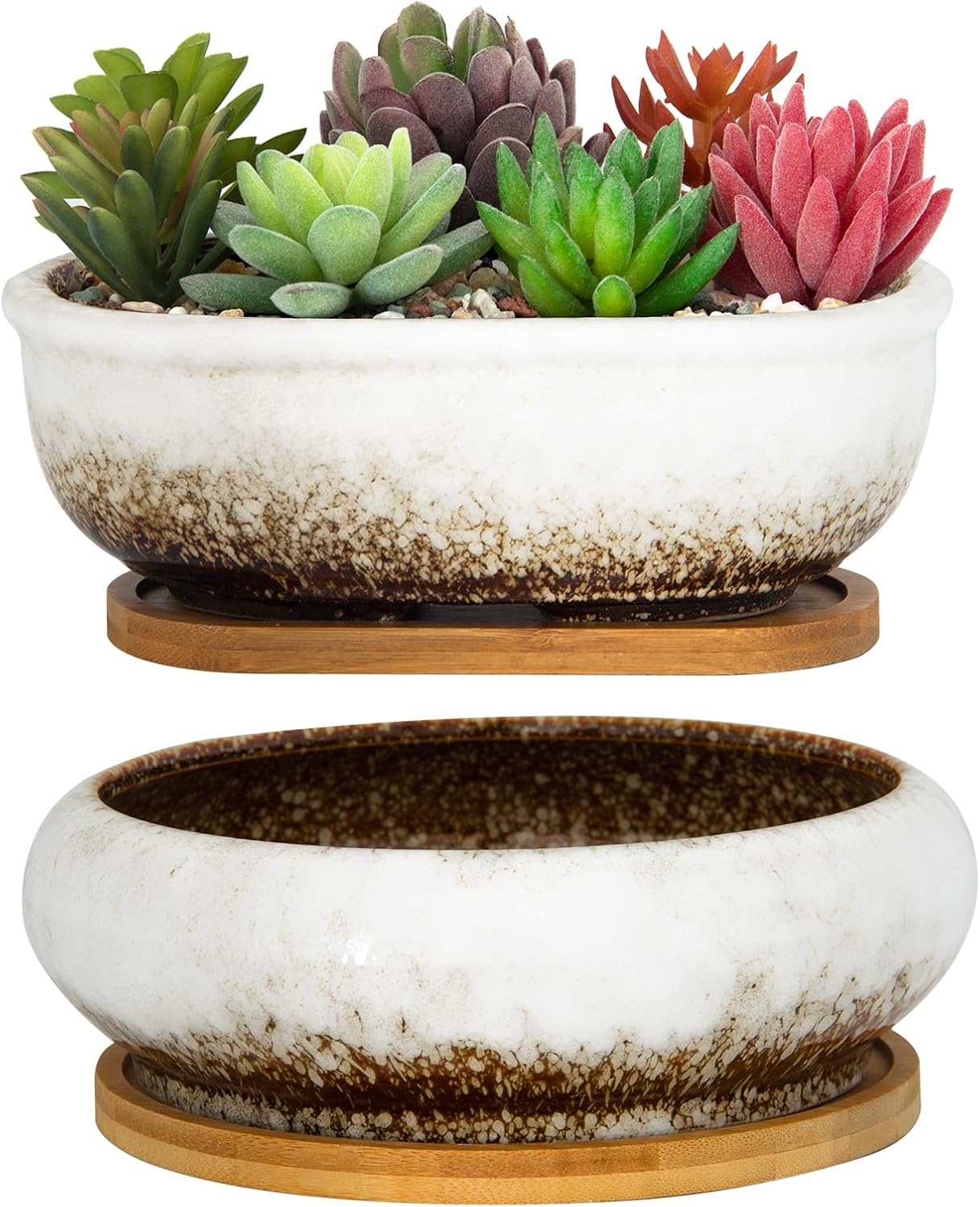 ARTKETTY Succulent Pots, 1 Rectangle Planter + 1 Ceramic Bonsai Pot with Drain Tray, 2 Pack Large Shallow Succulent Planters for Indoor Plants, Round Cactus Flower Plant Pot for Desk Windowsill Decor